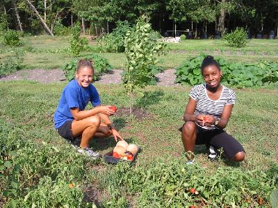 Community Garden