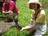 Feeding the 'roos