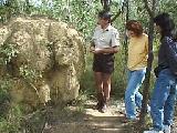 Termite mound